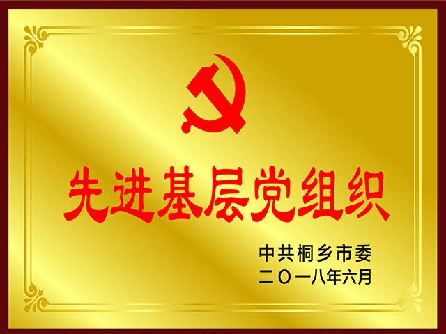 桐鄉市先進(jìn)基層黨組織