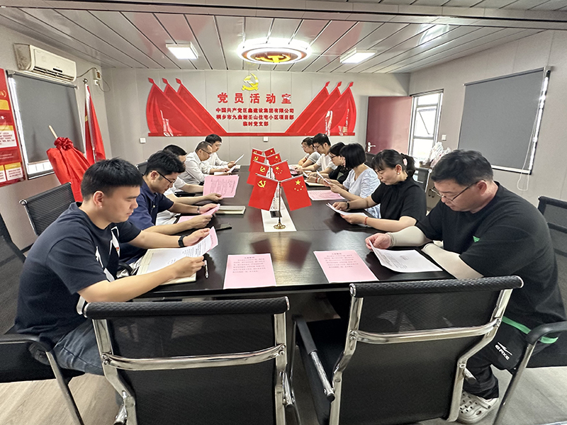 桐鄉九曲謝壬山小區項目臨時(shí)黨支部成立